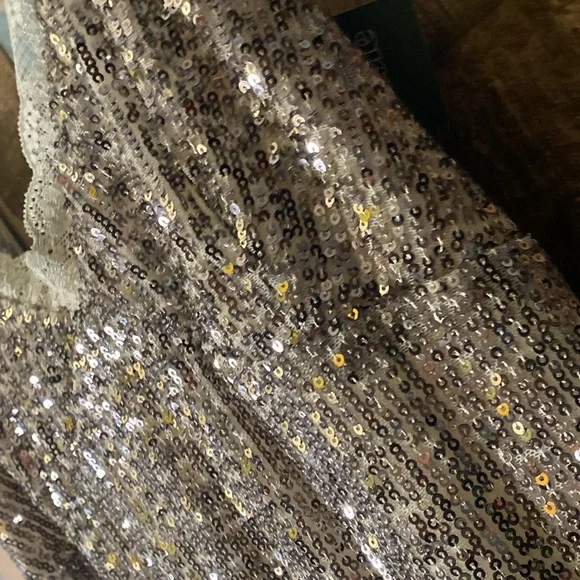 Wild fable silver sequins and lace trim stretchy dress - Picture 13 of 16